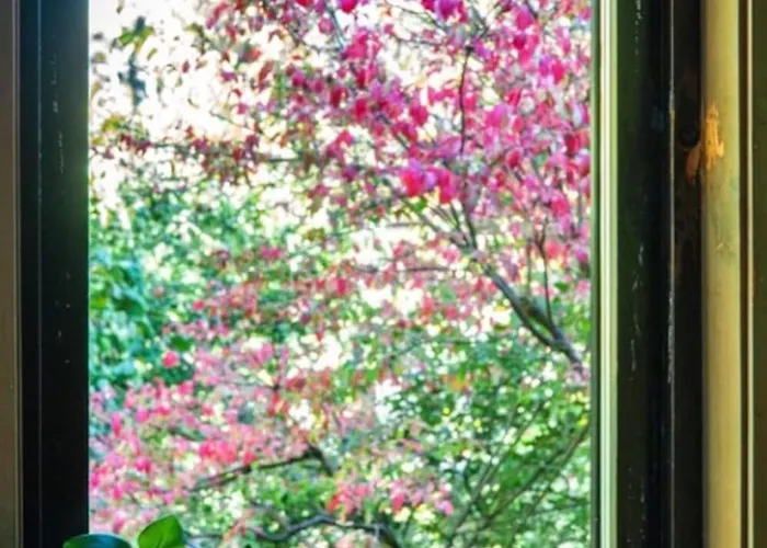 Spacious 7br With Parking For Large Groups