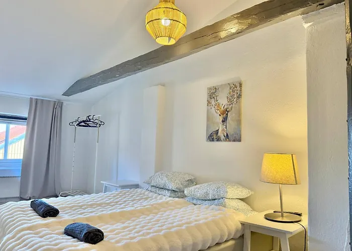 Apartment Workers Hq • 7br • 16 Beds • Center