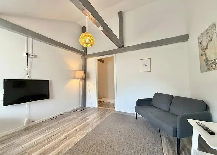 Workers Hq • 7br • 16 Beds • Center Apartment