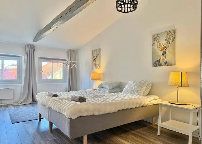 Workers Hq • 7br • 16 Beds • Center