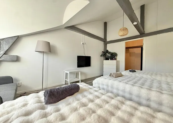 Workers Hq • 7br • 16 Beds • Center Apartment *