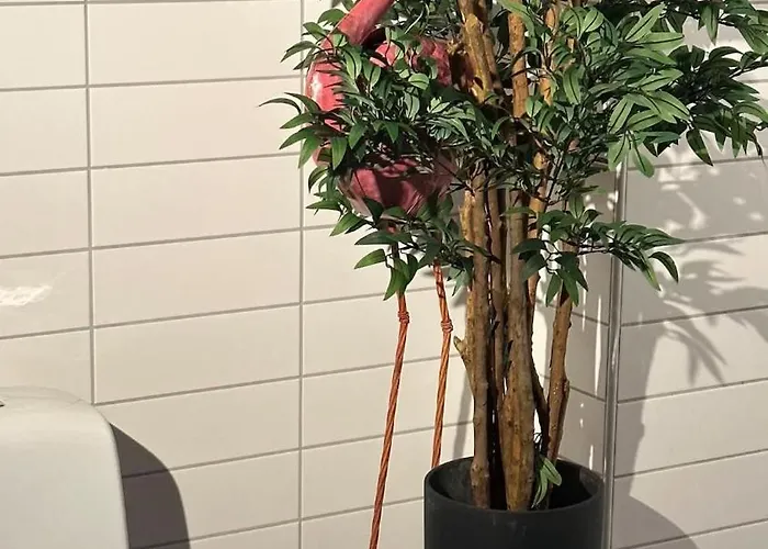 Apartment The Ultimate Luxury *