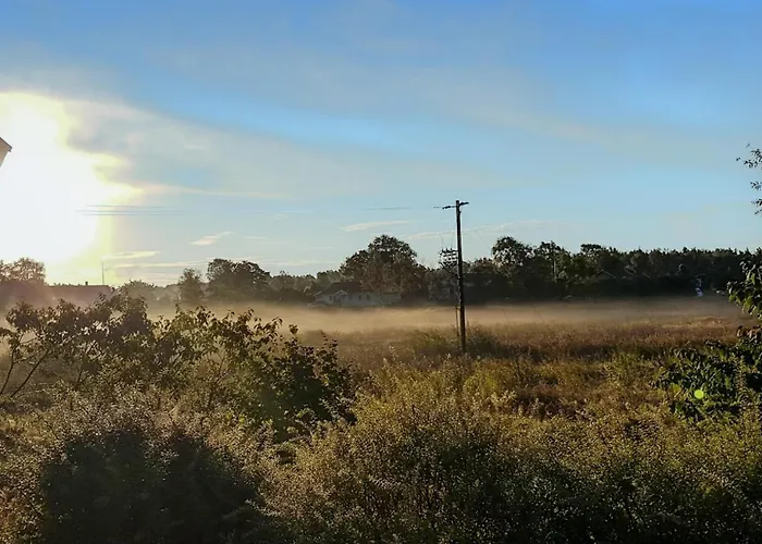 1 Bedroom In Torslanda Ferienhaus