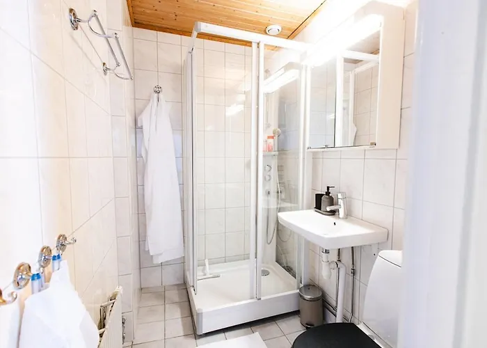 King Bed Smart Tv Coffee Wifi Sofa Bed Apartment