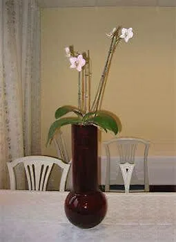 Hotel Western Arena 3*