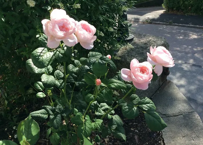 Pia's House * Gothenburg