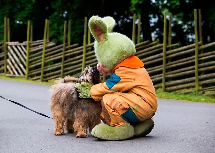 Vakantiepark Lisebergsbyns