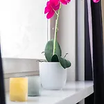 Chic 1br Center Sleeps 4 Braemaregarden