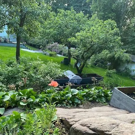 Willa Charmigt Hus I Skogen, Men Mitt I Stan