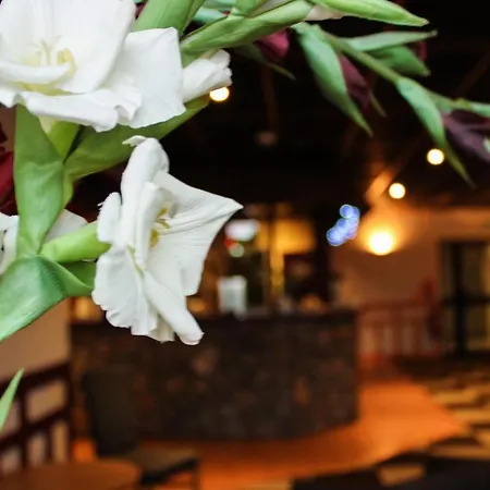 欧罗维酒店 酒店 3*