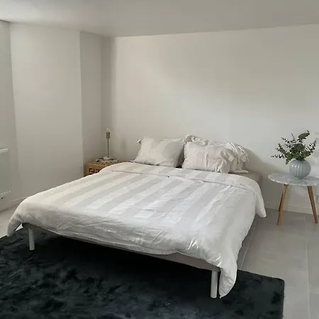 Villa Naera Och Stan Göteborg