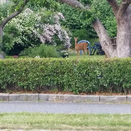 Downtown In - Free Parking Apartment Gothenburg