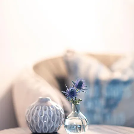 Отель Radisson Blu Riverside 4*