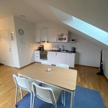 Cozy And Luxury Private Terrace Apartment Göteborg