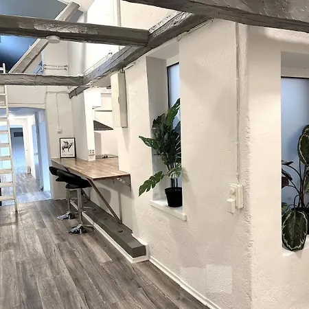 Penthouse In Vasastaden Gothenburg