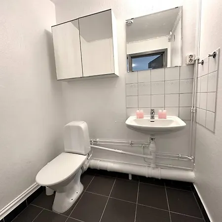 Penthouse In Vasastaden Apartment Gothenburg