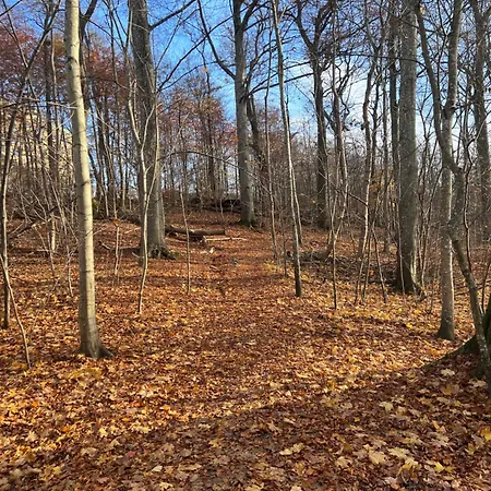 Ewa & Maude Gotemburgo