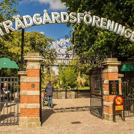 Downtown Sailboat - Vega 2