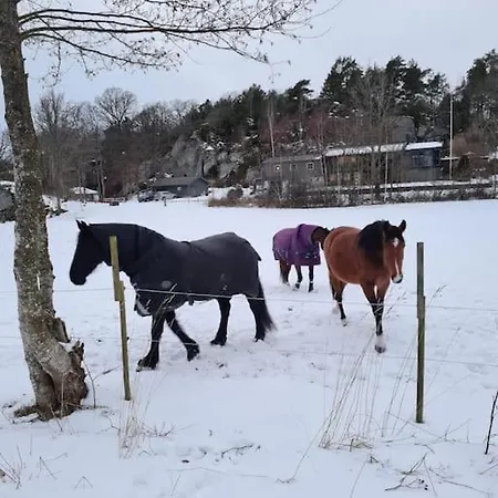 The Little House By The Paddock - Only For Non Smokers Prázdninový dům