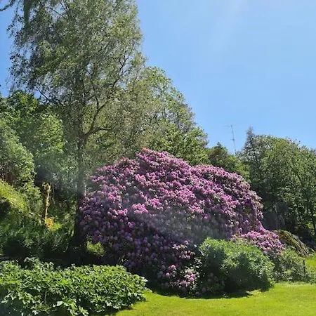 The Little House By The Paddock - Only For Non Smokers Göteborg
