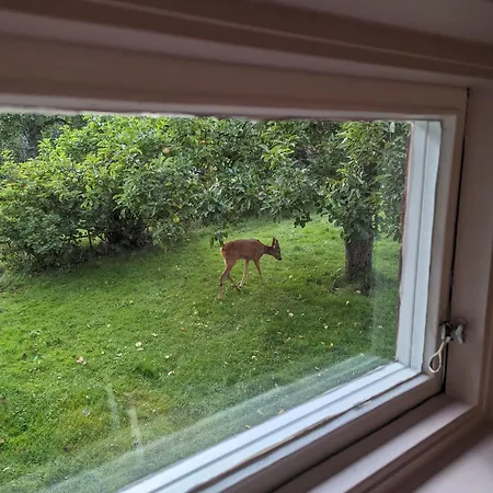 30-tals Med Naerhet Centrala Gbg *