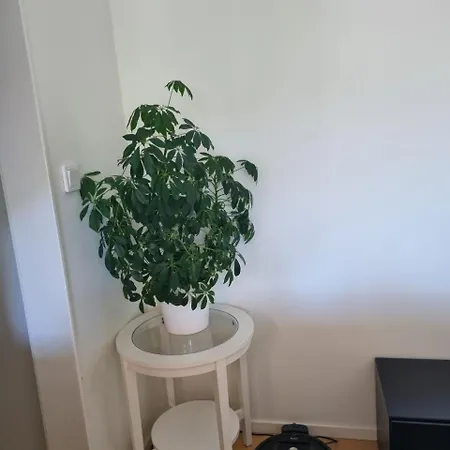 Séjour chez l'habitant The Beige