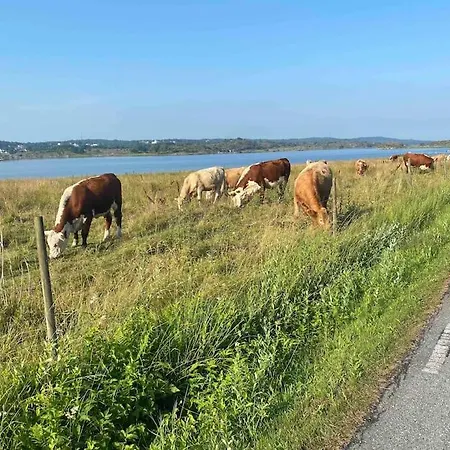 Haerligt Apartamento *