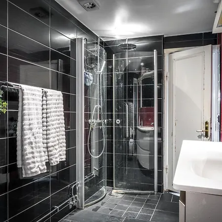 En Modern, Stor Laegenhet Apartman