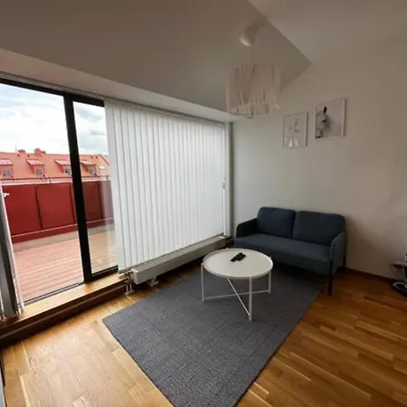 Luxurious With Private Terrace Apartment