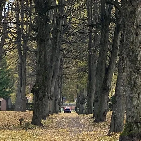 Homestay Cozy Accommodation, Single Or Bed In Dormroom