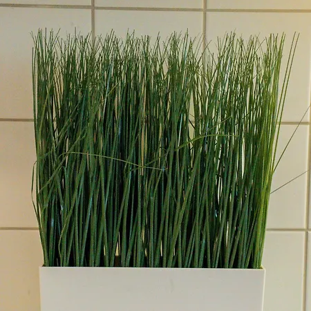 Welcoming Near Cafes, & Tram Lines Göteborg