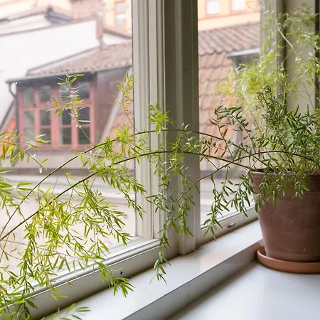 Vandrerhjem Stf Stigbergsliden Göteborg