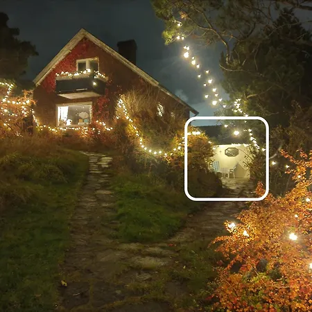 Cozy In 50s 10 Min Tram Ride To Apartment *