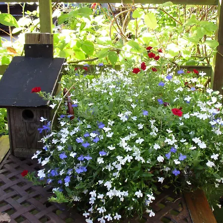 Annes Hus 3* Göteborg