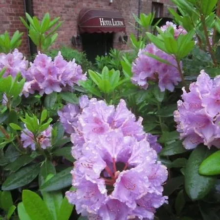 Bed & Breakfast Lilton