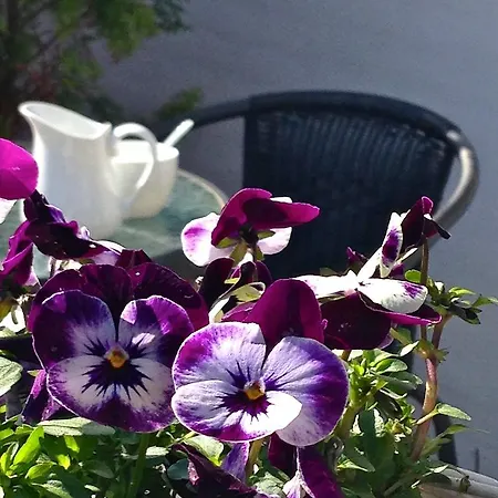 Bed & Breakfast Eriksberg *
