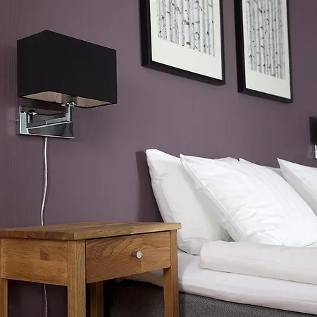 林奈帕特森酒店及旅馆 旅馆 哥德堡