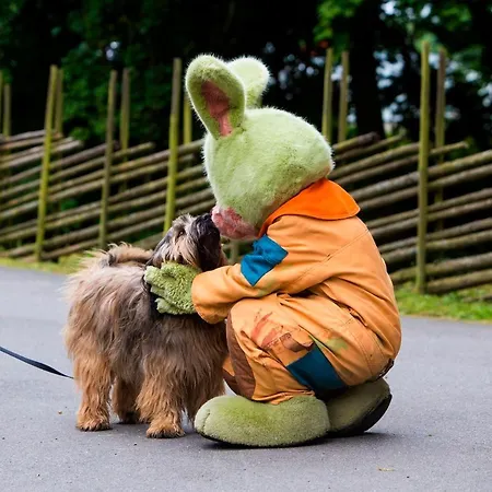 홀리데이파크 Lisebergsbyns