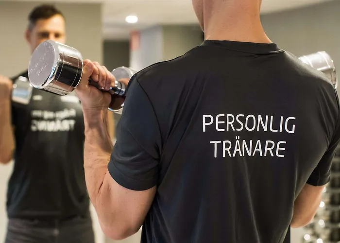 Comfort Panorama 哥德堡