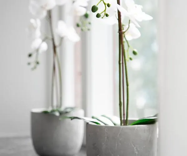 Apartmanhotel Wow, Foereningsgatan 9 Göteborg