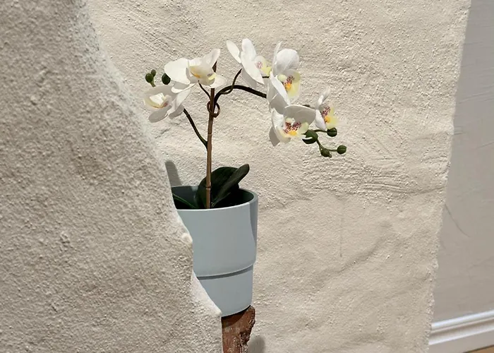 Appartement C Annedal