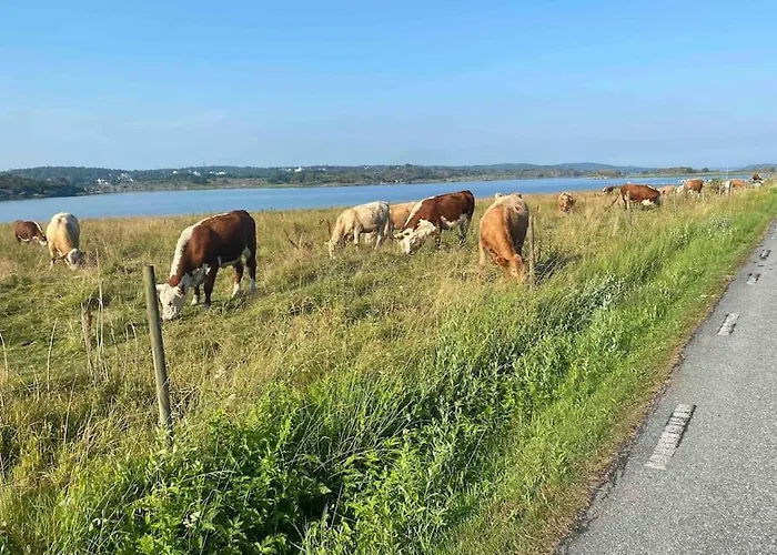 Haerligt Apartamento *