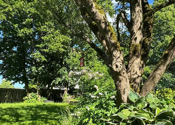 Kwatera prywatna 2 Bedroom Family With Balcony Free Parking Haha *