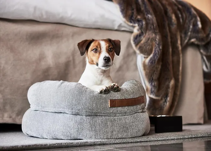 Riverton מלון גטבורג