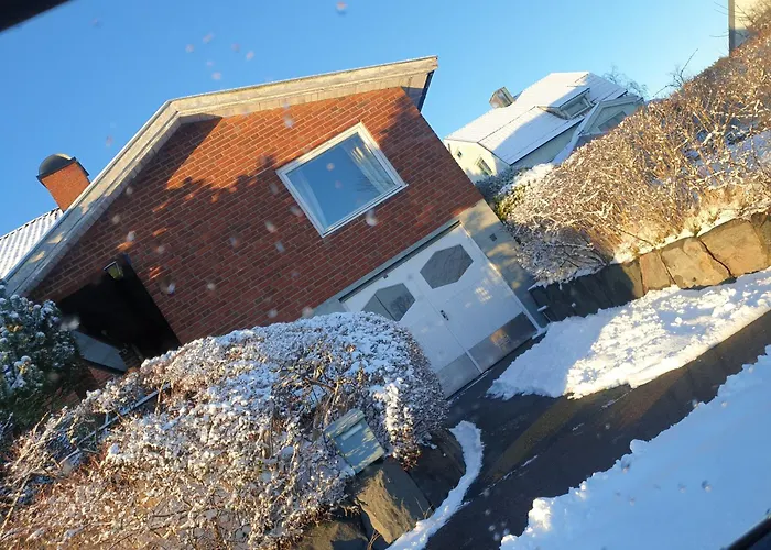 Cozy In 50s 10 Min Tram Ride To