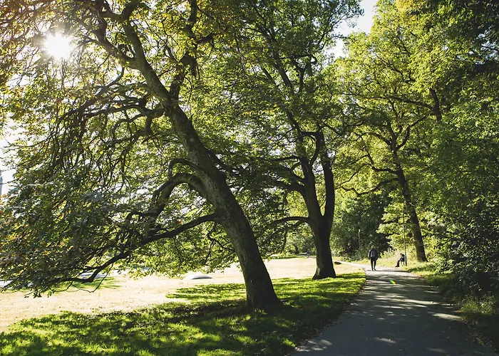 Linnéplatsens Hotell&vandrarhem *