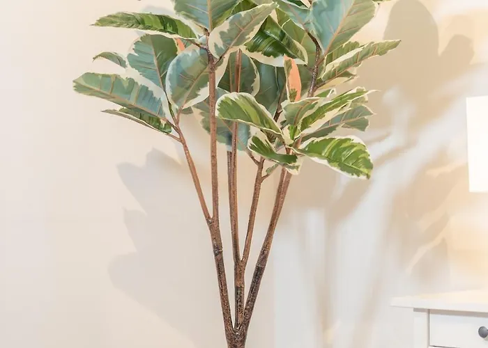 Calm Linne With Feel, Steps From Haga Apartment