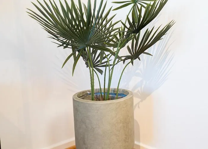 Scandi-boho 1br Calm & Well-connected Location