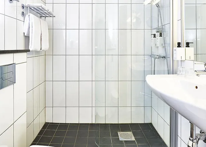 斯堪迪克贝克戴尔酒店 酒店